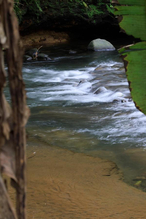 Casa Del Bosque At La Fortuna Dış mekan fotoğraf